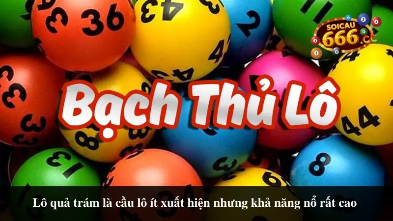 bach-thu-lo-qua-tram