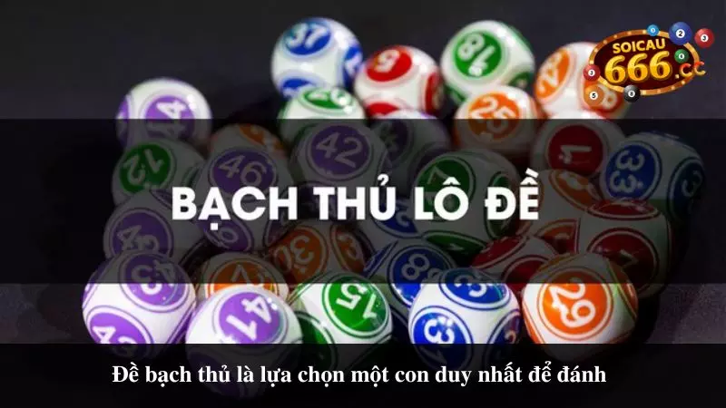 chon-bach-thu-de