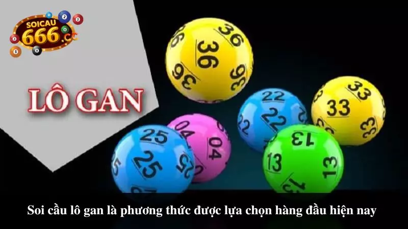 lua-chon-soi-cau-lo-gan